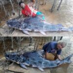 pescadores-do-ac-fisgam-peixe-com-2,4-metros-e-quase-190-kg-na-bolivia-e-video-viraliza