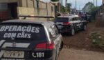 policia-civil-prende-mulher-por-trafico-de-drogas-em-xanxere