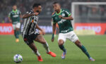 veja-fotos-da-partida-entre-atletico-mg-e-palmeiras,-pelo-brasileirao