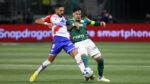 isolado-no-topo!-gustavo-gomez-vira-estrangeiro-com-mais-partidas-na-historia-do-palmeiras