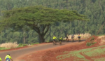 ‘rota-das-catedrais’-promove-pedalada-de-120-quilometros-por-estradas-rurais-entre-londrina-e-maringa