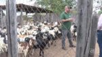 videos:-assista-ao-clube-rural-de-domingo,-21-de-maio-de-2023