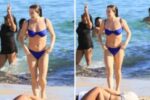 alice-wegmann-mostra-boa-forma-em-dia-de-praia-com-francisco-gil