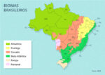 entra-em-vigor-lei-que-amplia-prazo-para-regularizacao-ambiental