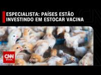 japao-cancela-embargo-sobre-aves-vivas-e-ovos-ferteis-importados-de-santa-catarina