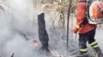 pantanal-bate-recorde-de-incendios-para-novembro,-com-2,3-mil-focos