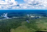 noruega-anuncia-doacao-de-us$-50-milhoes-para-o-fundo-amazonia-na-cop28