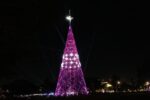 arvore-de-natal-do-ibirapuera:-horarios-e-como-fazer-para-ver