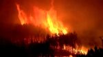 incendios-florestais-podem-ativar-particulas-cancerigenas-no-solo,-diz-estudo