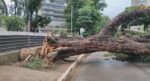 novos-temporais-sao-esperados-em-sao-paulo-entre-quinta-e-sexta