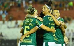 palmeiras-vence-o-flamengo-em-jogaco-no-brasileirao-feminino